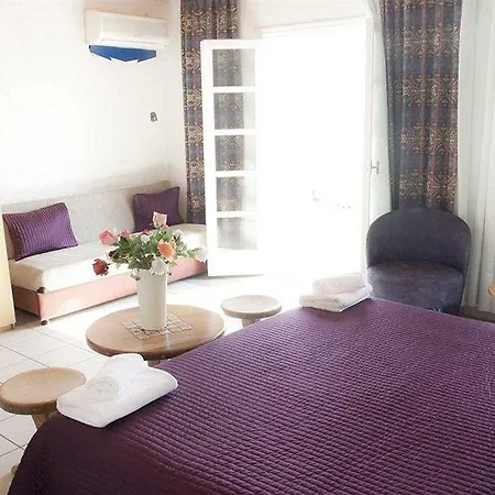 마이코노 팰리스 비치 호텔 Mykonos Town